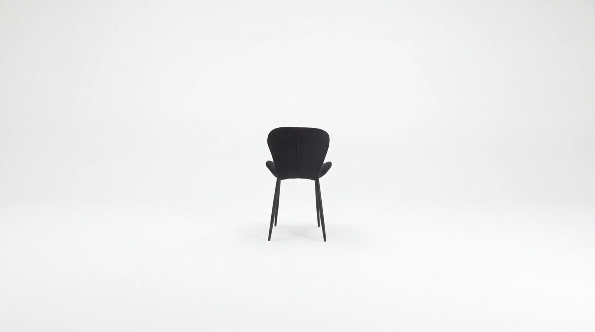 - Assise Noir - Pied Noir