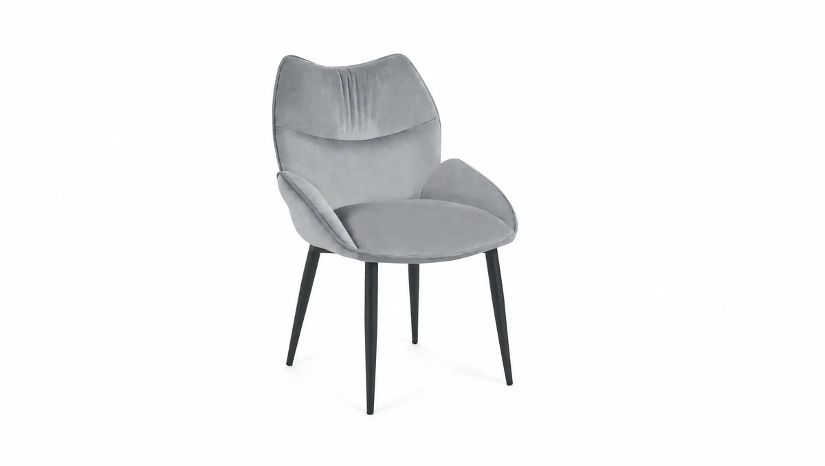 Pied Noir - Assise Gris