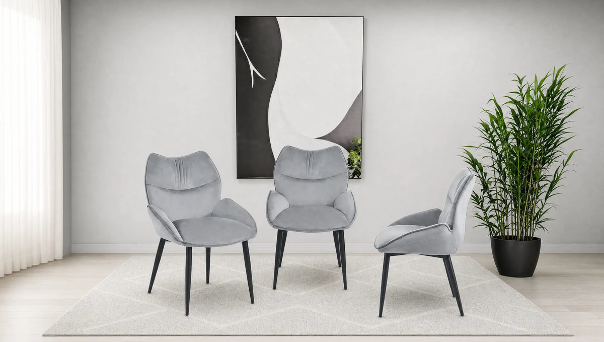 Pied Noir - Assise Gris