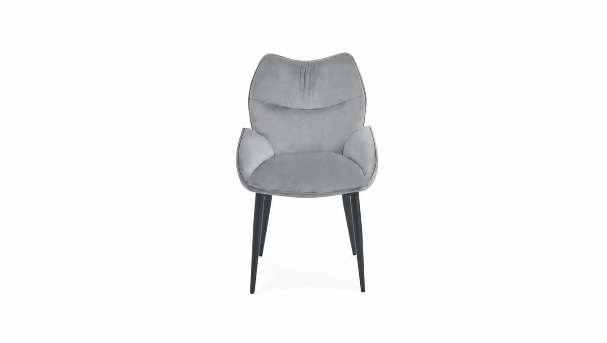 Pied Noir - Assise Gris