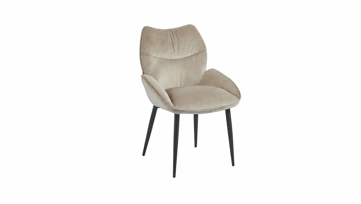 Pied Noir - Assise Taupe