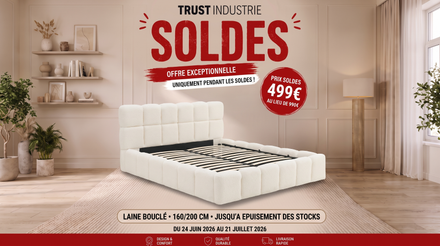 Lit coffre MURCIA en velours avec sommier et tête de lit inclus