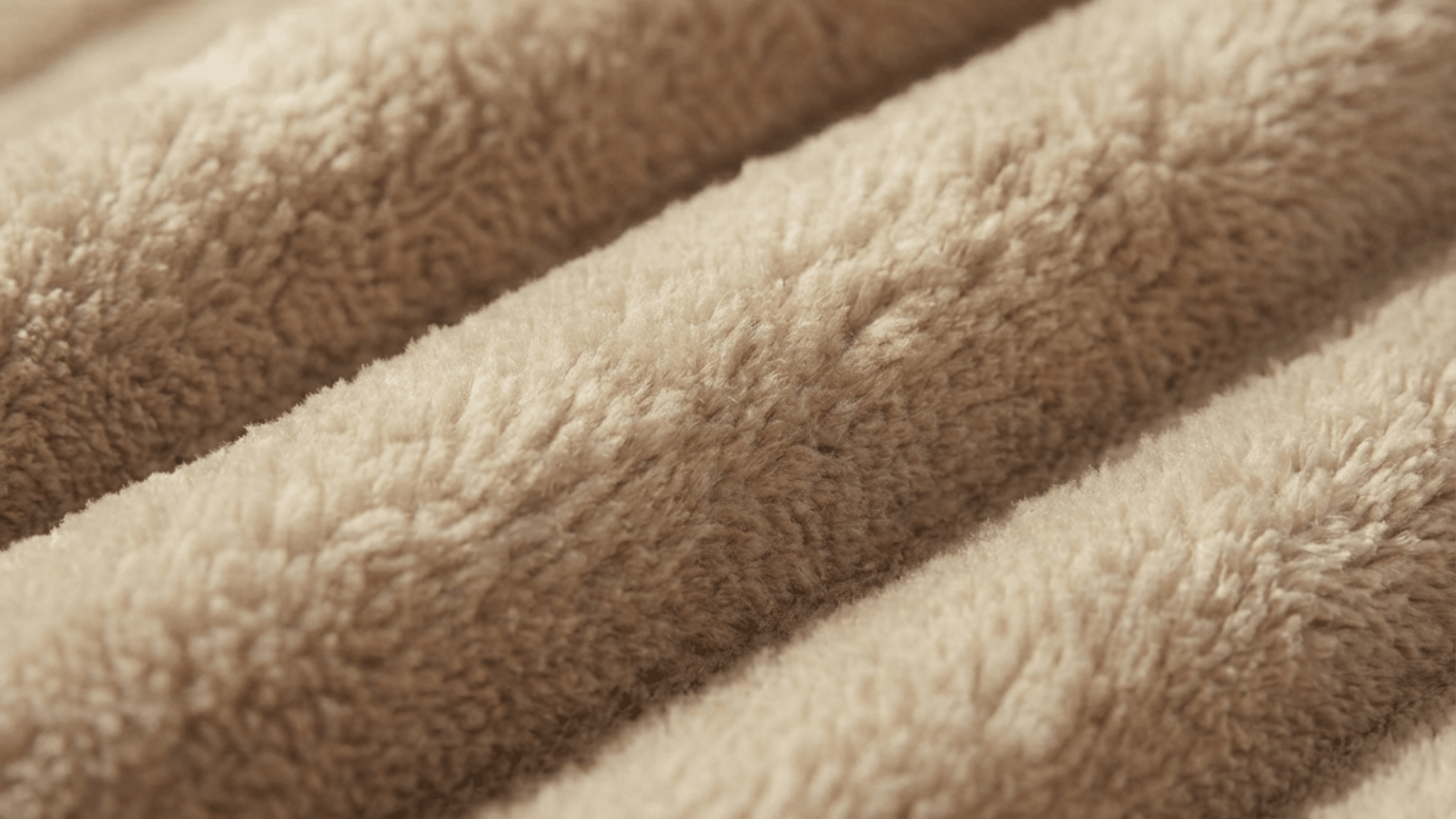 Taupe clair / L. 250 x l. 170 cm
